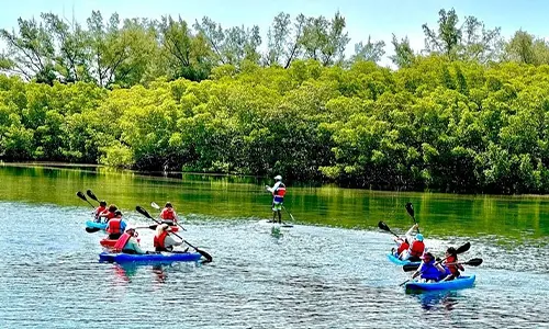 Kayak Rentals Miami